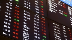 Investors Trading Trends in Japanese Stock Market: An Analysis for January 2024