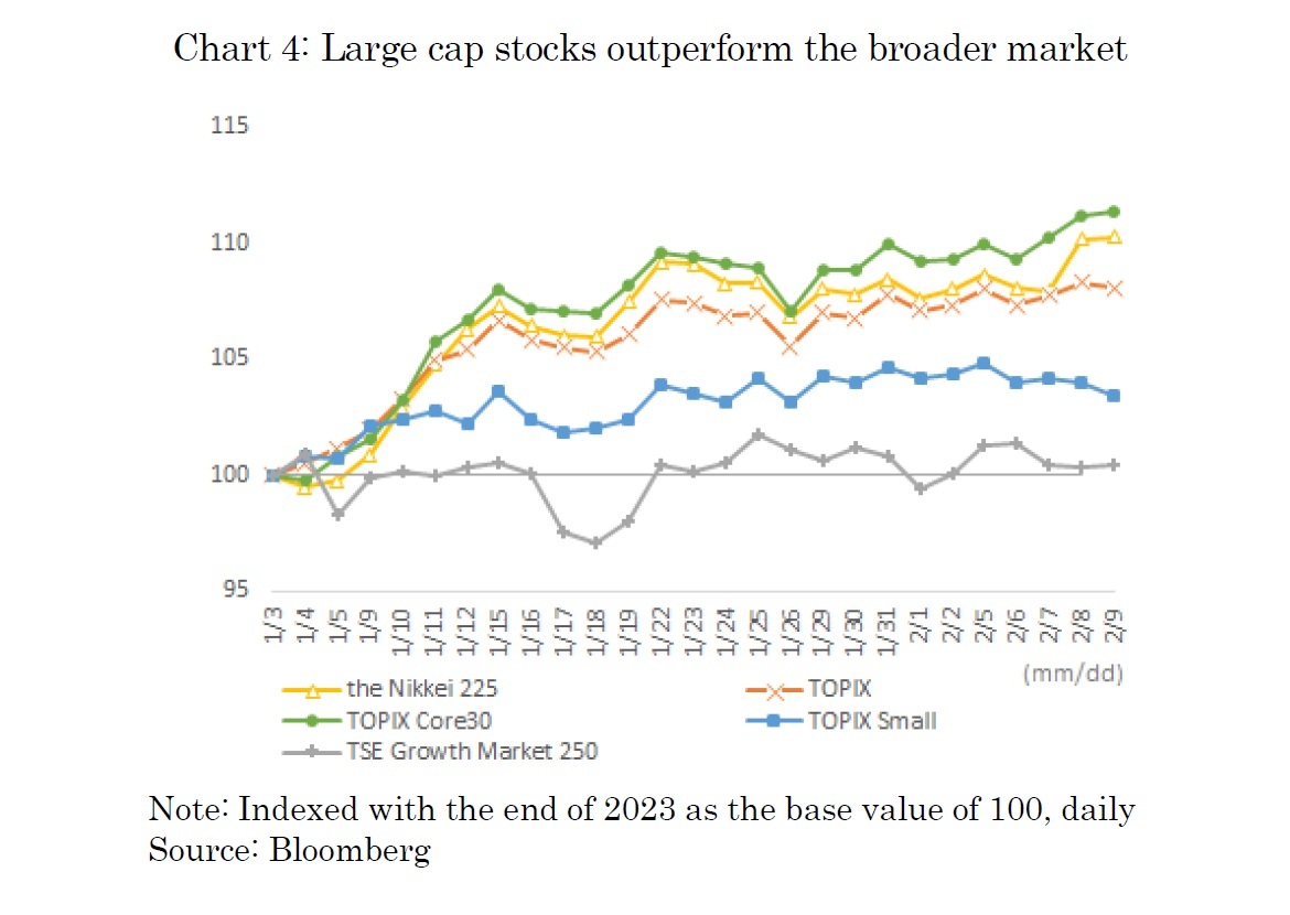 Chart 4: Large cap stocks outperform the broader marke