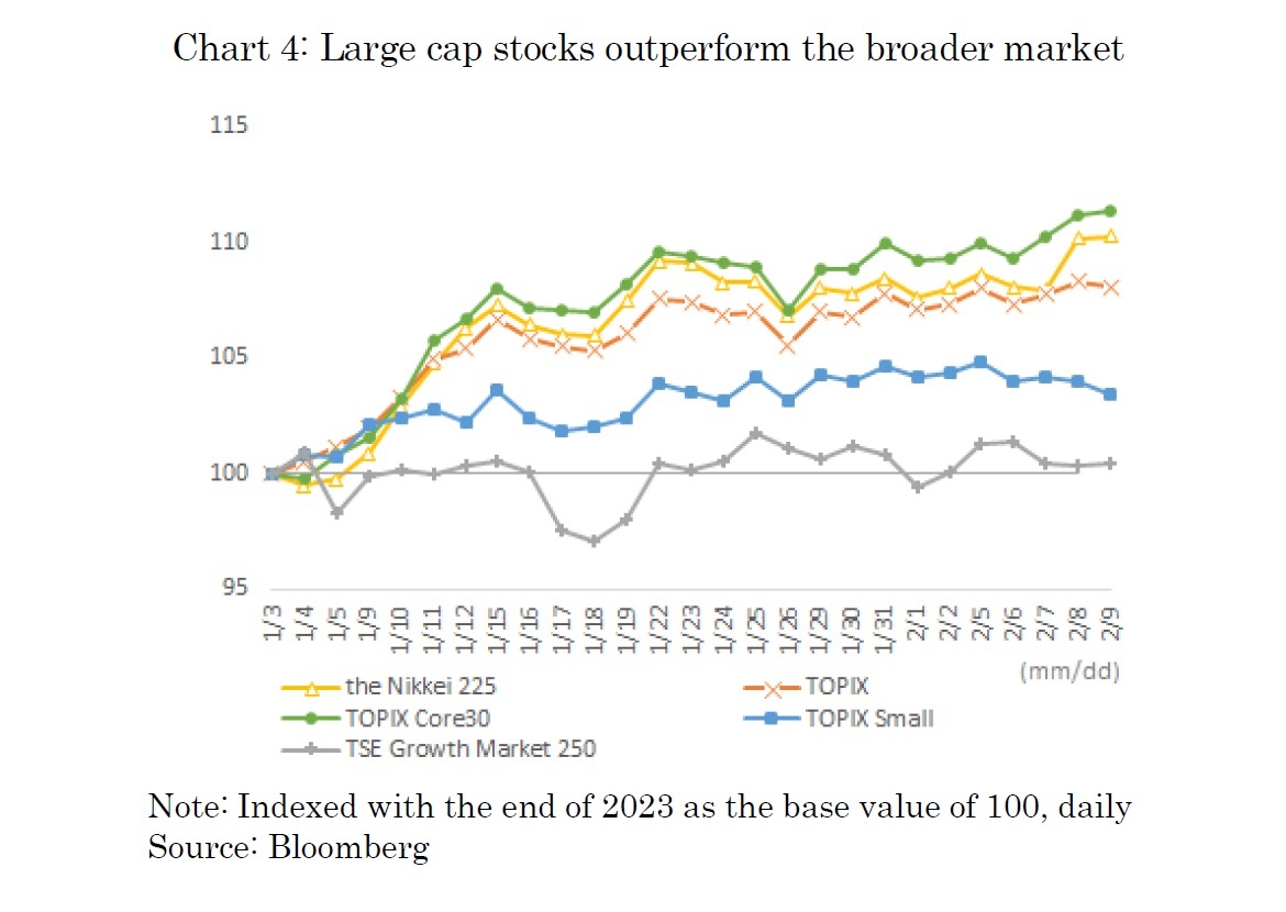 Chart 4: Large cap stocks outperform the broader marke