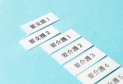 要介護認定を受けるきっかけ～日常生活はおおむね送れる高齢者の要介護認定