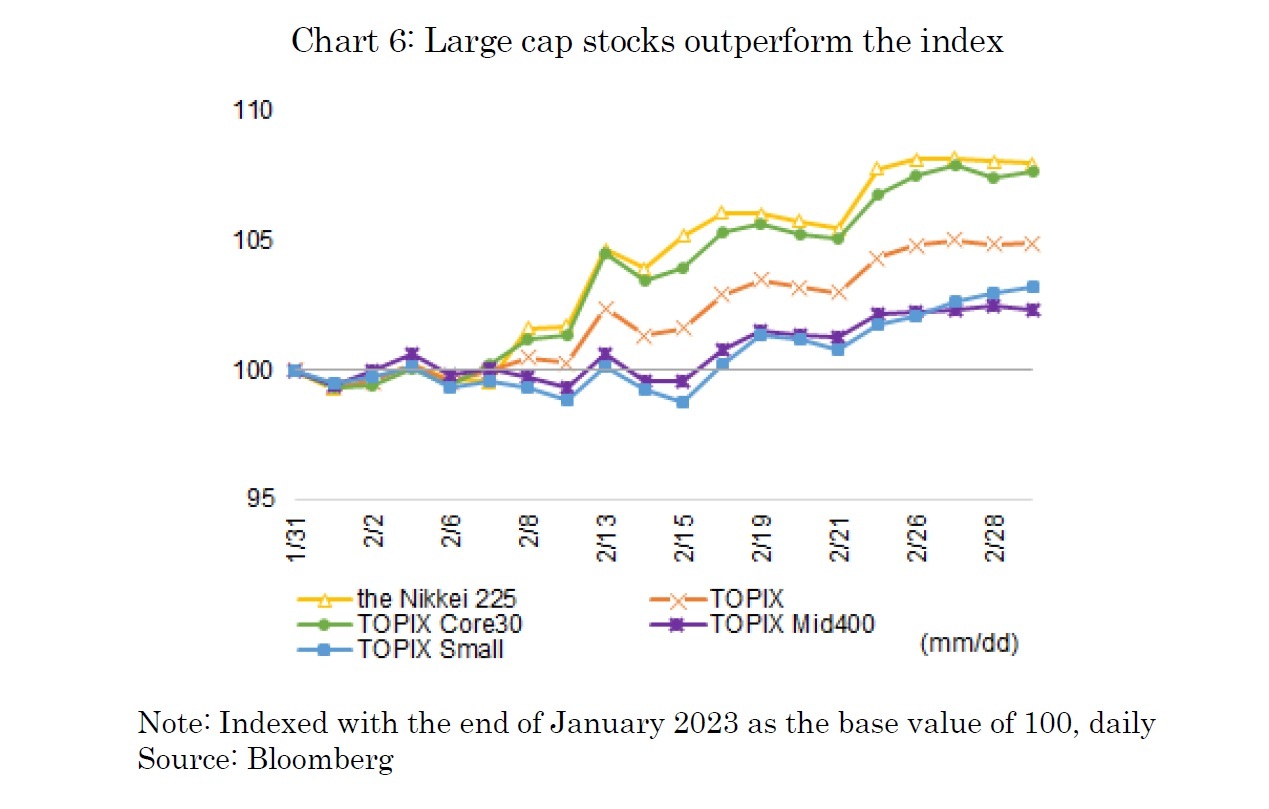 Chart 6: Large cap stocks outperform the index
