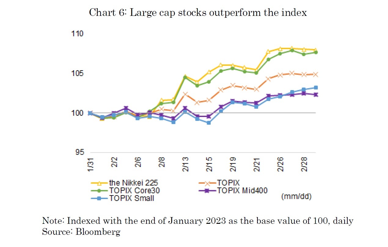 Chart 6: Large cap stocks outperform the index
