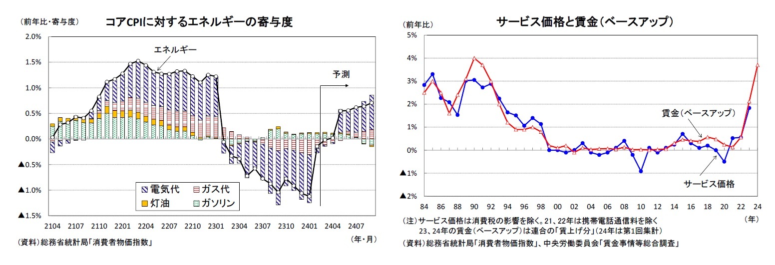 コアCPIに対するエネルギーの寄与度/サービス価格と賃金（ベースアップ）