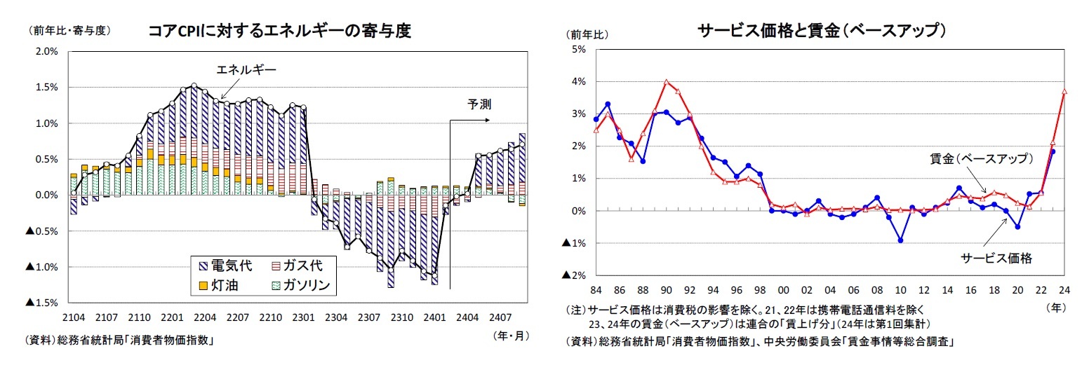 コアCPIに対するエネルギーの寄与度/サービス価格と賃金(ベースアップ)