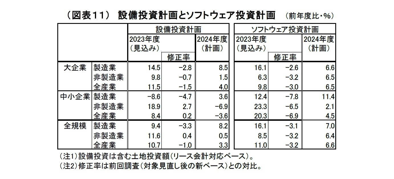 （図表11）　設備投資計画とソフトウェア投資計画