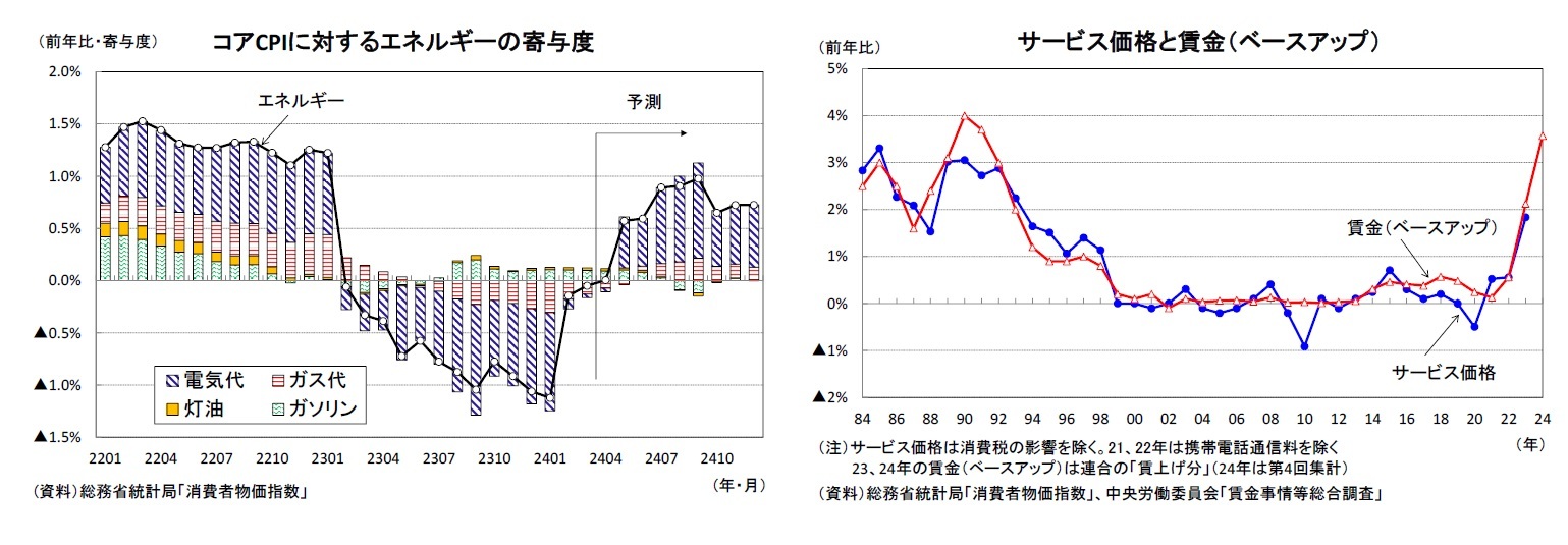 コアCPIに対するエネルギーの寄与度/サービス価格と賃金（ベースアップ）