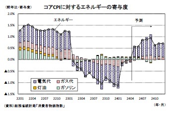 コアCPIに対するエネルギーの寄与度