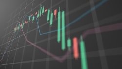 Investors Trading Trends in Japanese Stock Market:An Analysis for May 2024