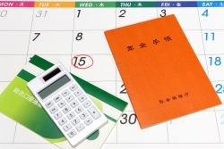 年金額改定の本来の意義は実質的な価値の維持－2024年度の年金額と2025年度以降の見通し (1)