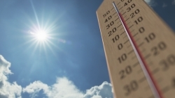 今年の夏休みも暑い予想－ところで昨年2023年７月はいったいどのような暑さだったのか