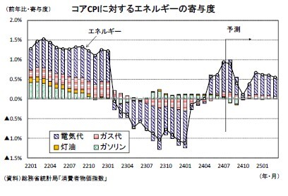 コアCPIに対するエネルギーの寄与度