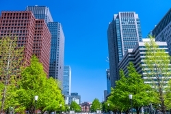 成約事例で見る東京都心部のオフィス市場動向（2024年上期）－「オフィス拡張移転DI」の動向