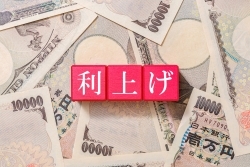 不透明感を増す利上げの行方～日銀金融政策のポイントと見通し