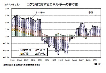 コアCPIに対するエネルギーの寄与度
