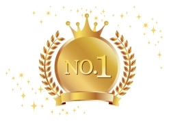 不適切な「No.1表示」を生み出す構造的背景と今後の道筋－デジタル時代の「消費者の脆弱性」に向き合う試金石となるか