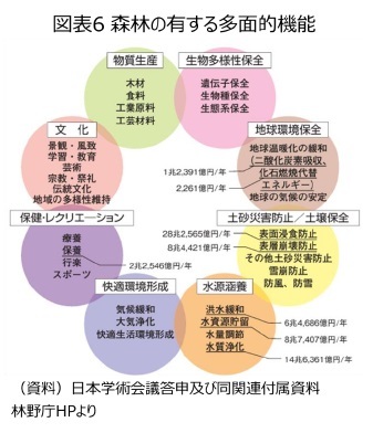 図表6 森林の有する多面的機能