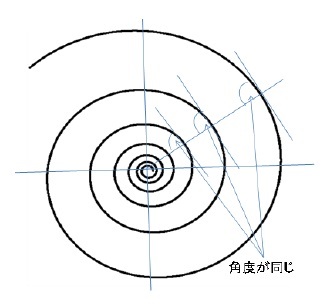 等角螺旋