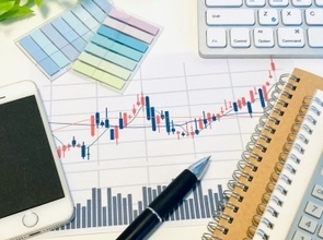 外国株式ファンド以外が売れず‼～2024年12月の投信動向～