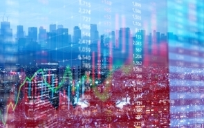 Investors Trading Trends in Japanese Stock Market：An Analysis for December 2024
