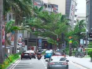 フィリピン経済:24年10-12月期の成長率は前年同期比5.2%増~台風被害が続き成長率目標を達成できず