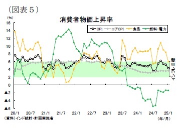 (図表5)消費者物価上昇率