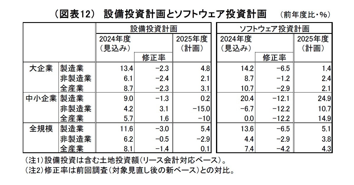 （図表12）設備投資計画とソフトウェア投資計画