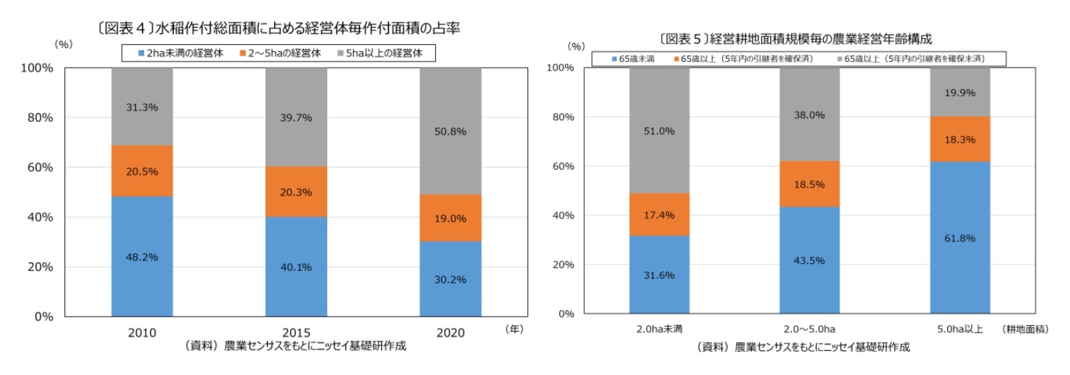 〔図表４〕水稲作付総面積に占める経営体毎作付面積の占率/〔図表５〕経営耕地面積規模毎の農業経営年齢構成