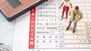 ふるさと納税のピットフォール-発生原因と望まれる改良
