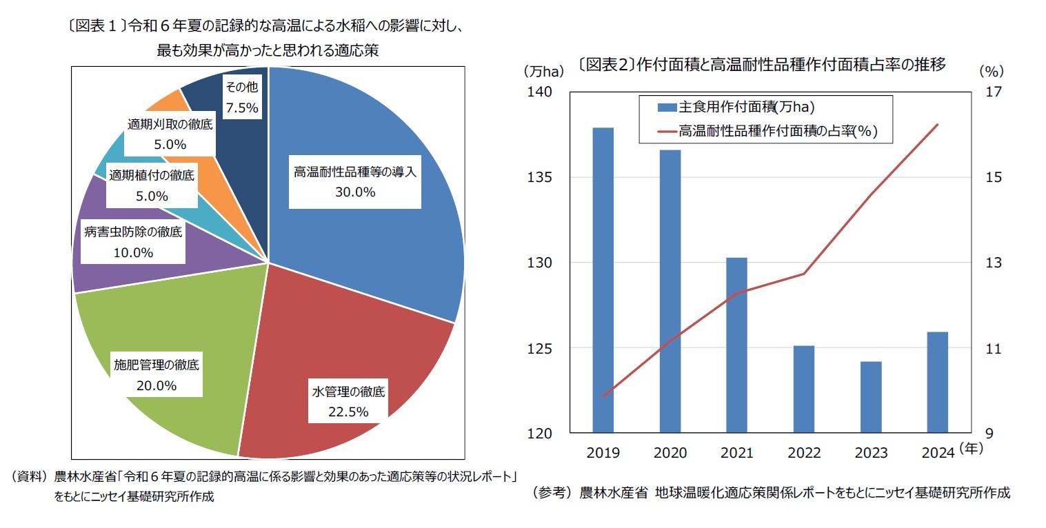 （図表１）令和６年夏の記録的な高温による水稲への影響に対し、最も効果が高かったと思われる適応策/（図表２）作付面積と高温耐性品種作付面積占率の推移