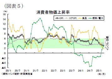 (図表5)消費者物価上昇率