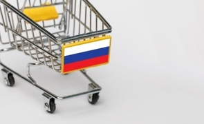 ロシアの物価状況(25年5月)-インフレ圧力の軽減傾向が継続