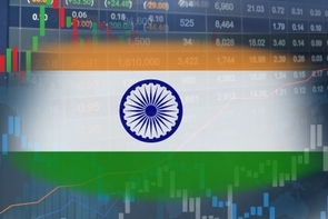 インド株式市場における国内投資家の存在感と資金構造の変化