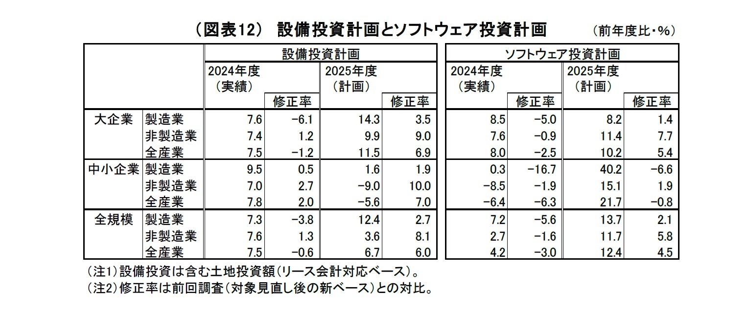 （図表12）設備投資計画とソフトウェア投資計画