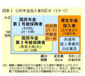 図表１ 公的年金加入者の区分（イメージ）