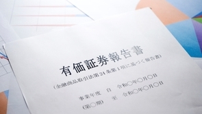 サステナビリティ情報開示の法制化の概要