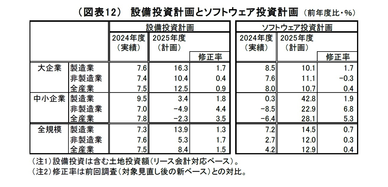 （図表12）設備投資計画とソフトウェア投資計画