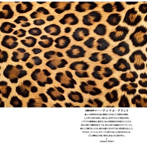 基礎研ＲＥＰＯＲＴ（冊子版）10月号[vol.343]