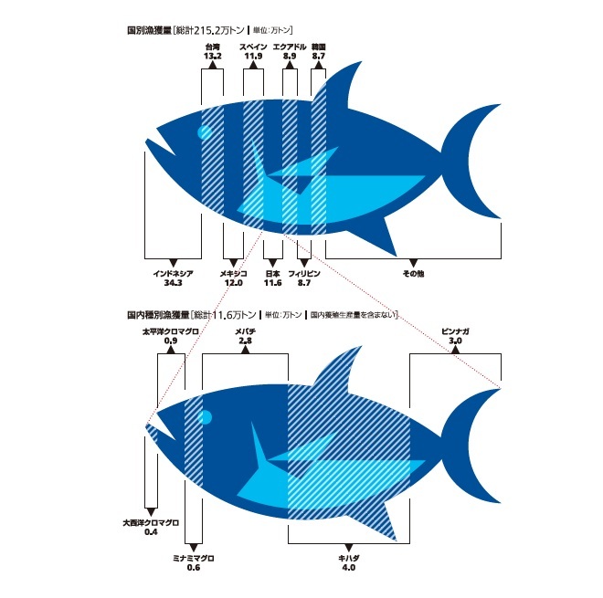 Infocalendar －まぐろ類漁獲量(2021年)[10月10日はマグロの日]