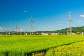 秋の夜長に市民と経済の主食を考える-農業と電力はこれからも日本の食欲を満たせるのか