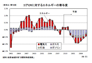 コアCPIに対するエネルギーの寄与度