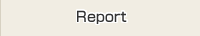 Report