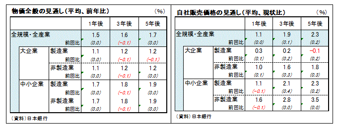 物価全般の見通し（平均、前年比）／自社販売価格の見通し（平均、現状比）