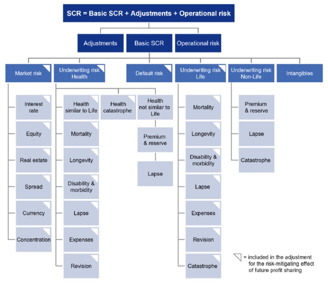 比較のための標準式の構造