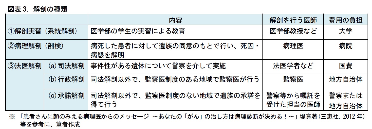 承諾 解剖 と は